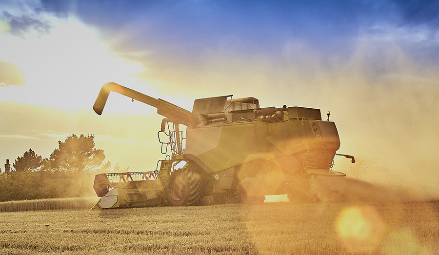 Combine harvesting in dusty agriculture fields under dramatic sunlight